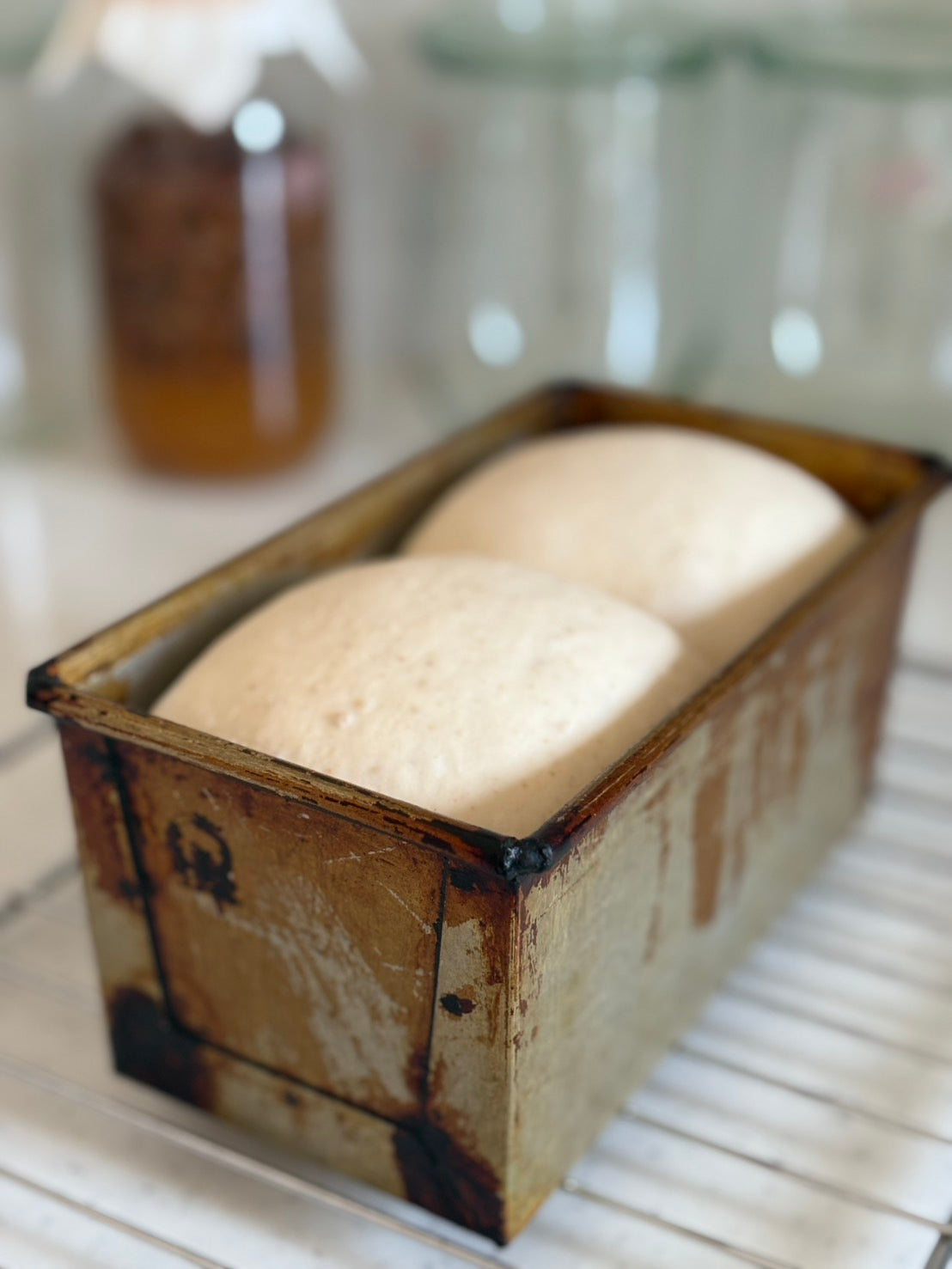 食パン ぶどう