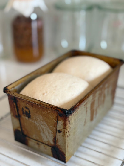 食パン ぶどう